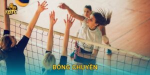 Bóng chuyền tại Tdtc mang đến sự cạnh tranh sôi nổi