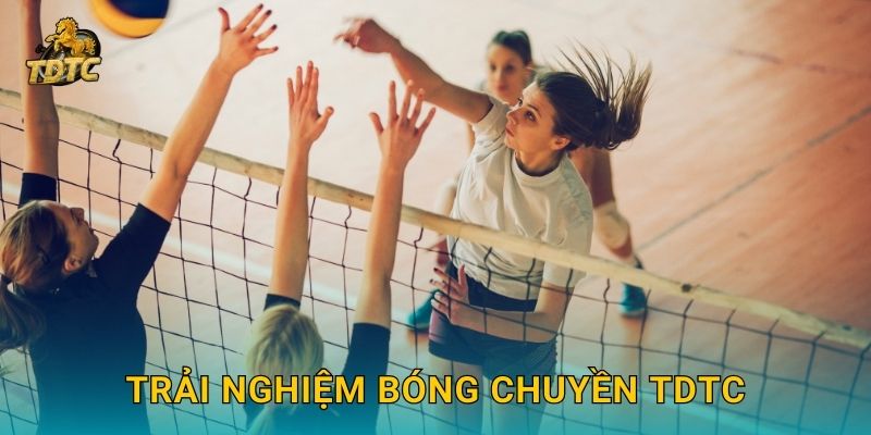 Bóng chuyền tại Tdtc mang đến sự cạnh tranh sôi nổi 2 Trải nghiệm Bóng chuyền Tdtc