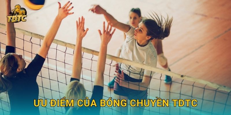 Bóng chuyền tại Tdtc mang đến sự cạnh tranh sôi nổi 3 Ưu điểm của Bóng chuyền Tdtc