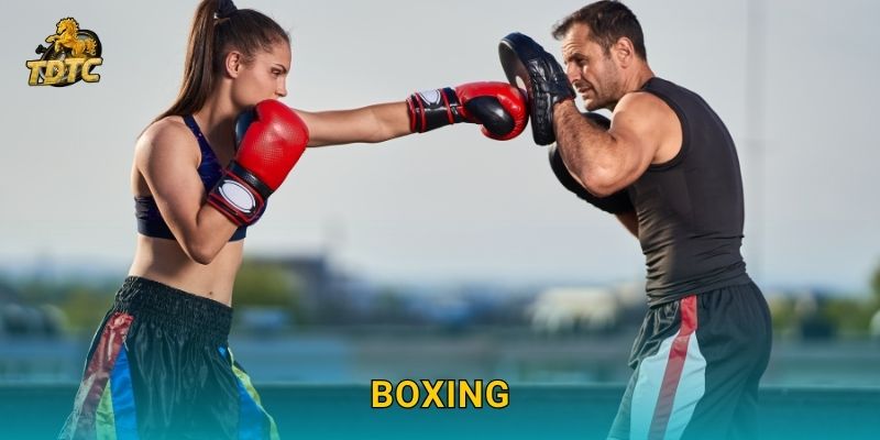 Boxing tại Tdtc hấp dẫn cho người hâm mộ võ thuật 1 Boxing tại Tdtc hấp dẫn cho người hâm mộ võ thuật