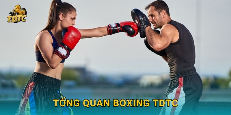 Boxing tại Tdtc hấp dẫn cho người hâm mộ võ thuật 2 Tổng quan Boxing Tdtc